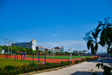 DSC_0717.jpg