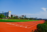 DSC_0723.jpg