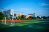 IMG_6573.jpg
